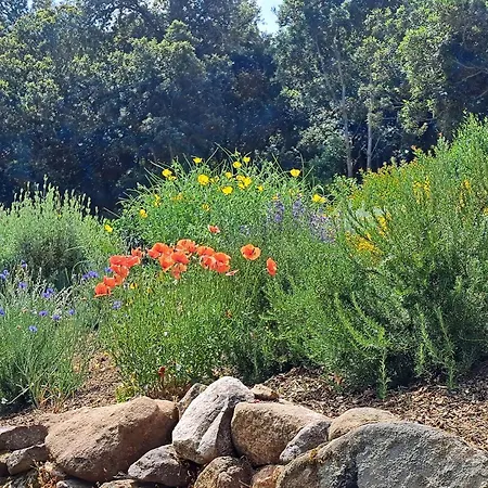 Muredda - Senetosa 3*