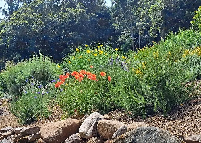 Muredda - Senetosa 3*